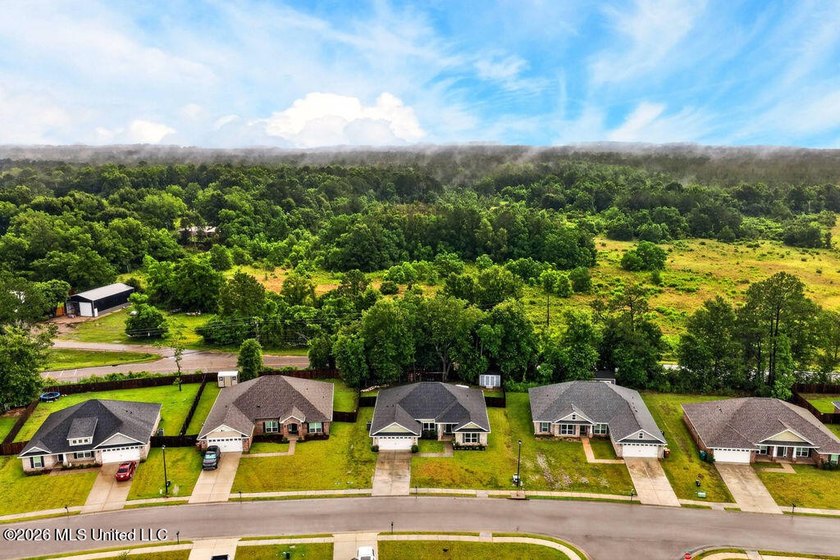 Welcome home to Emerald Lake Estates! This beautiful 4-bedroom - photo 38
