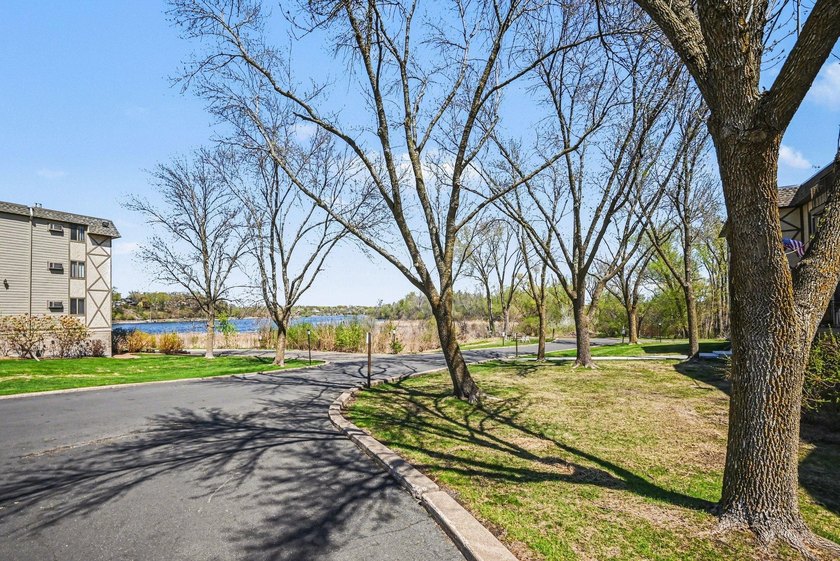 Experience maintenance-free lake living at its finest in this - photo 25