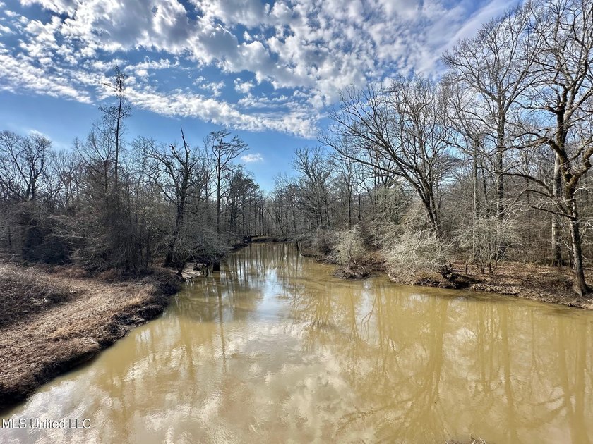 +/- 625 acre hardwood timber river bottom hunting tract in - photo 2