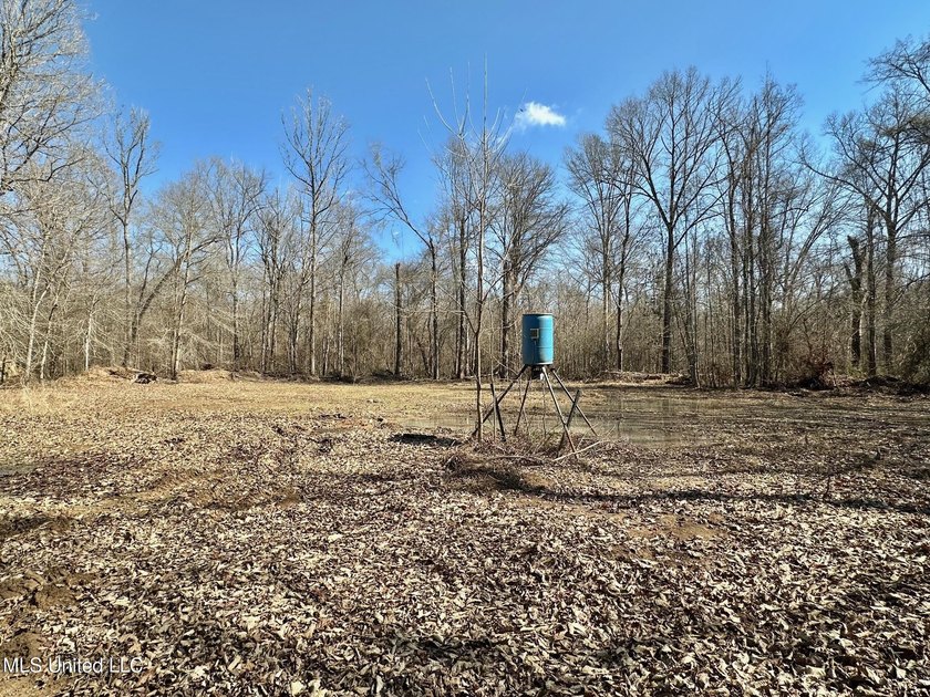 +/- 269 acre hardwood timber river bottom hunting tract in - photo 7