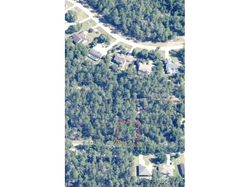 Premium home site in Oak Village at Sugarmill Woods. Block 171 - photo 2