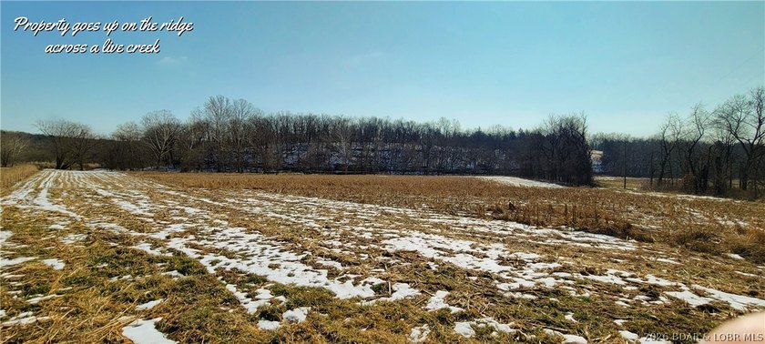 3 bdrm 2 1/2 bath home on 76 gorgeous acres with 2 ponds! This - photo 48