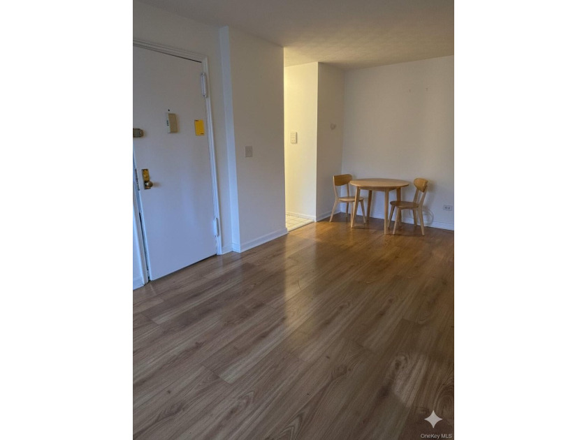 Welcome to this charming sunlit 1-bedroom, 1-bathroom co-op - photo 5