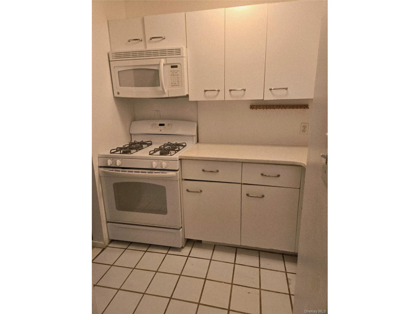 Welcome to this charming sunlit 1-bedroom, 1-bathroom co-op - photo 7