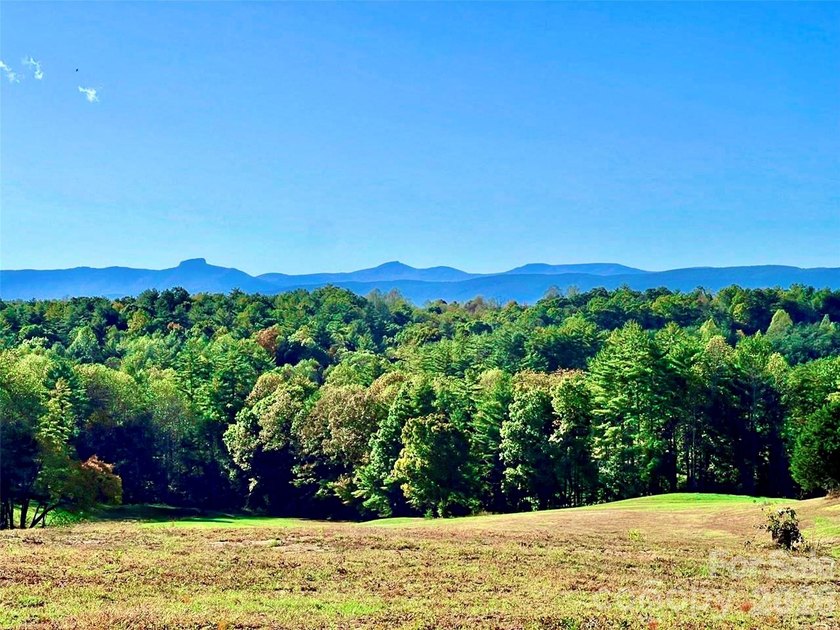 On a knoll with astounding Blue Ridge Mountain views at The - photo 9