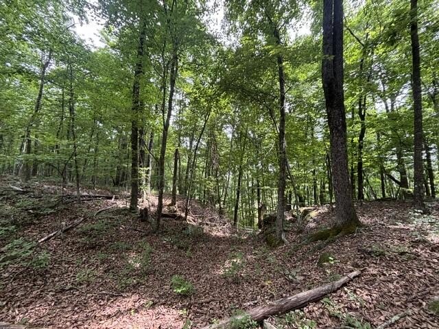 A very level Lot with rock ledge and boulder features at the - photo 4