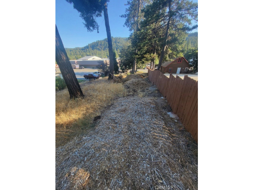 Rare USP (unique selling proposition) of vacant land parcel with - photo 6