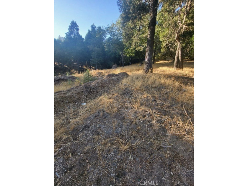 Rare USP (unique selling proposition) of vacant land parcel with - photo 8