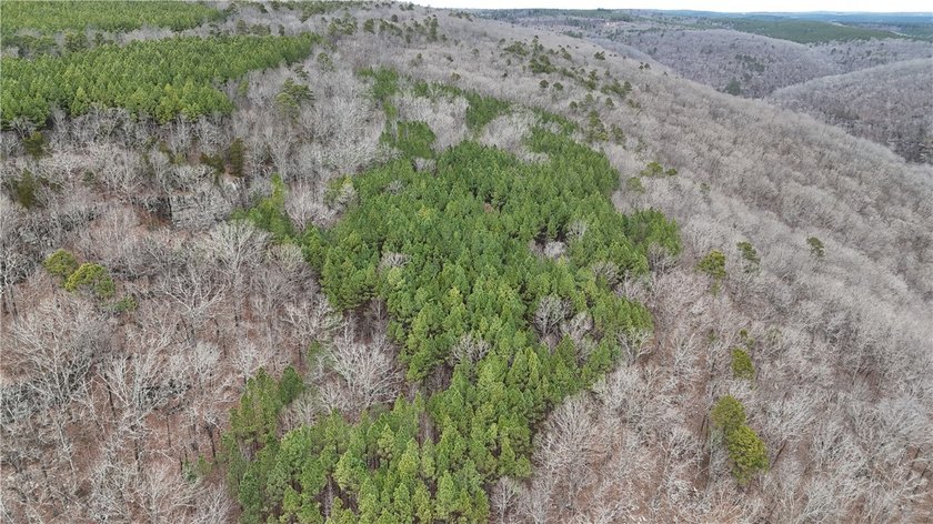 Rugged Beauty on the North Shore of Greers Ferry Lake Nestled - photo 12