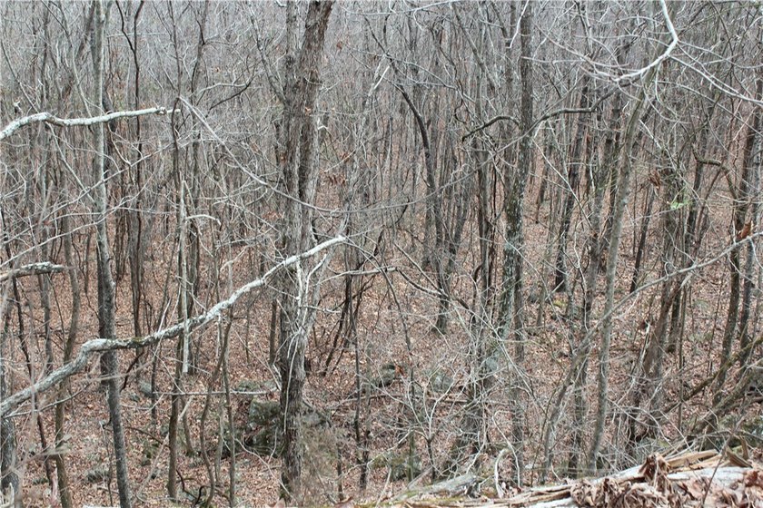 Rugged Beauty on the North Shore of Greers Ferry Lake Nestled - photo 22