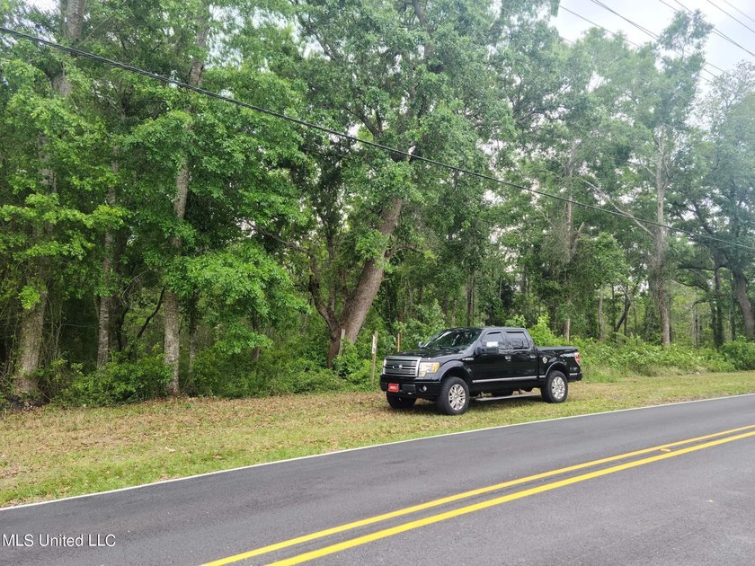 6.89 Acres +/- beautiful hardwood trees, Great location, close - photo 2
