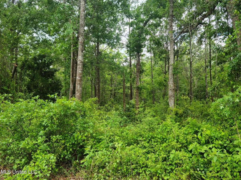 6.89 Acres +/- beautiful hardwood trees, Great location, close - photo 3