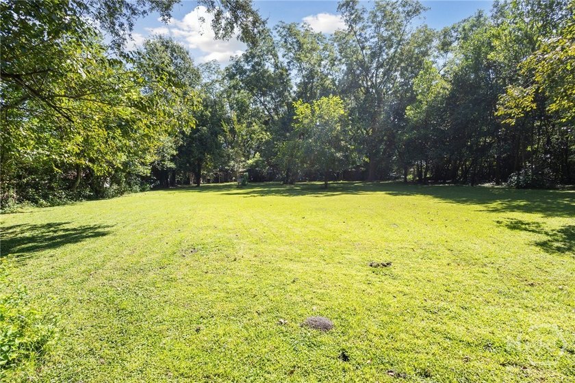 91 ACRES ZONED R-I-N LOCATED DIRECTLY ACROSS FROM THE GEORGIA - photo 7