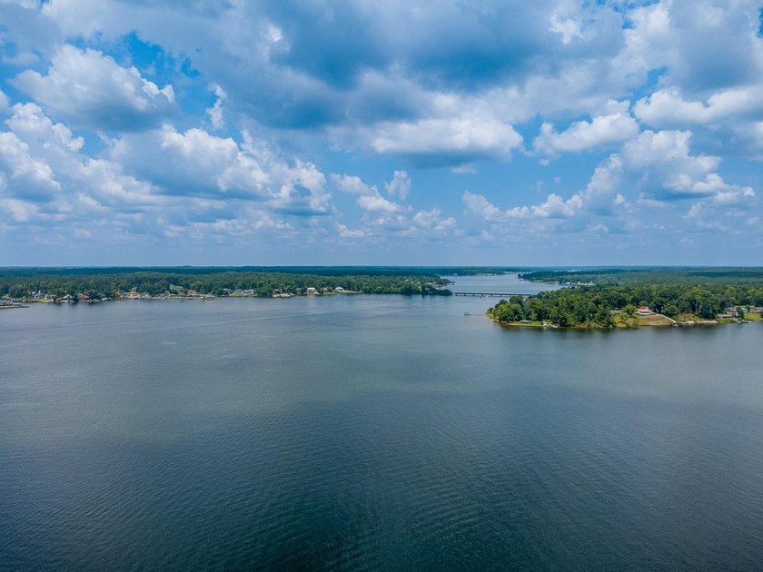 Rare opportunity to own a beautifully finished Lake Greenwood - photo 3