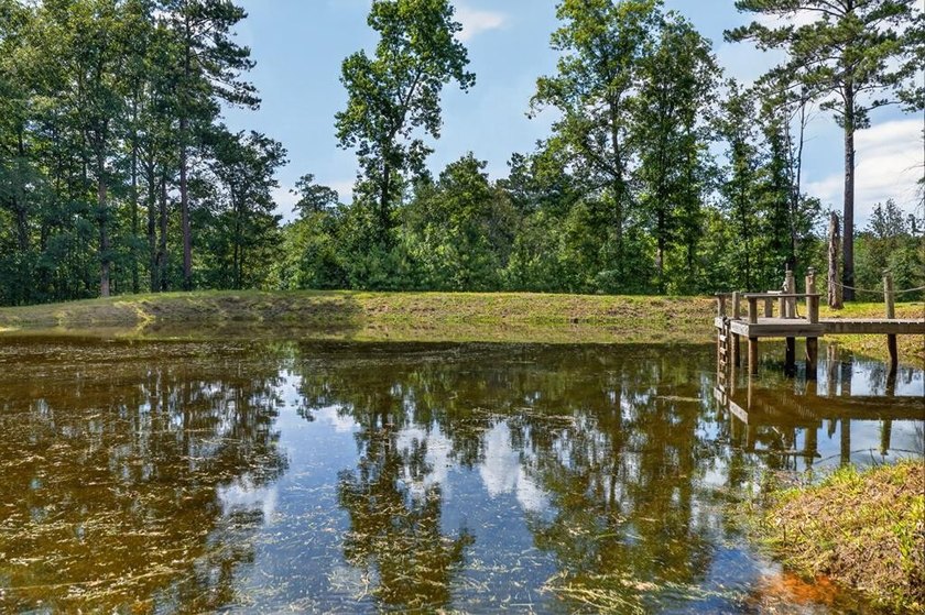Escape to your own private East Texas retreat on 45.62 acres! - photo 33