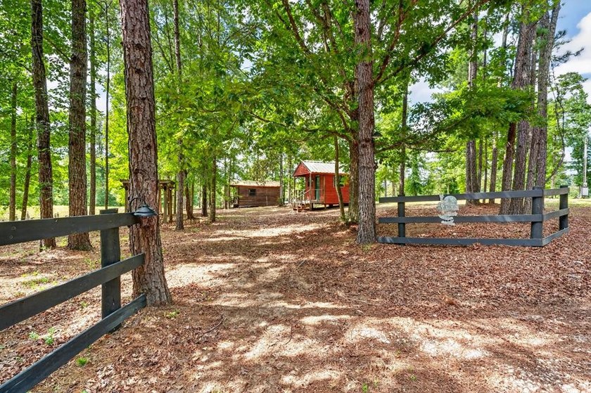 Escape to your own private East Texas retreat on 45.62 acres! - photo 35