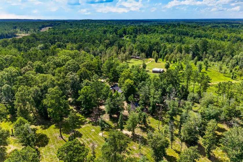 Escape to your own private East Texas retreat on 45.62 acres! - photo 37