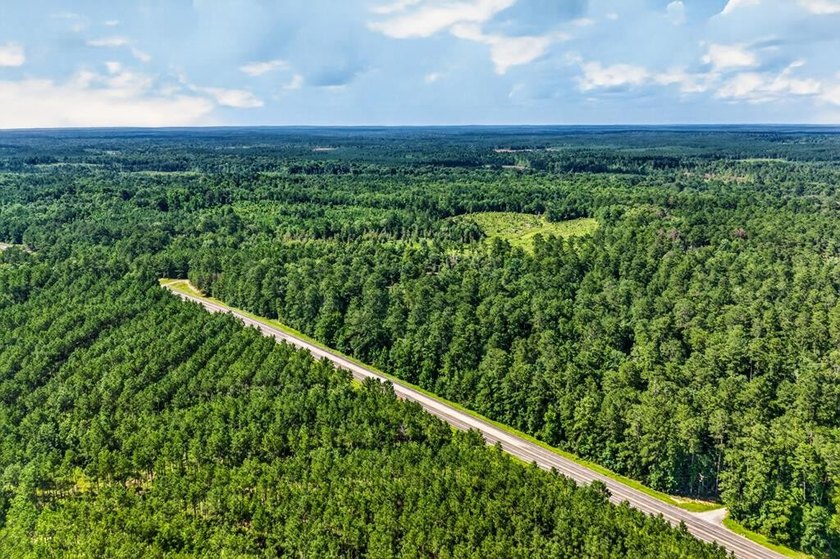 Escape to your own private East Texas retreat on 45.62 acres! - photo 38