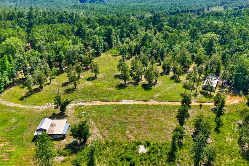 Escape to your own private East Texas retreat on 45.62 acres! - photo 39