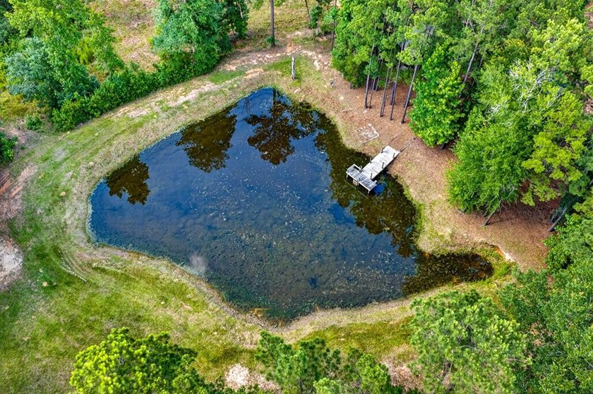 Escape to your own private East Texas retreat on 45.62 acres! - photo 40