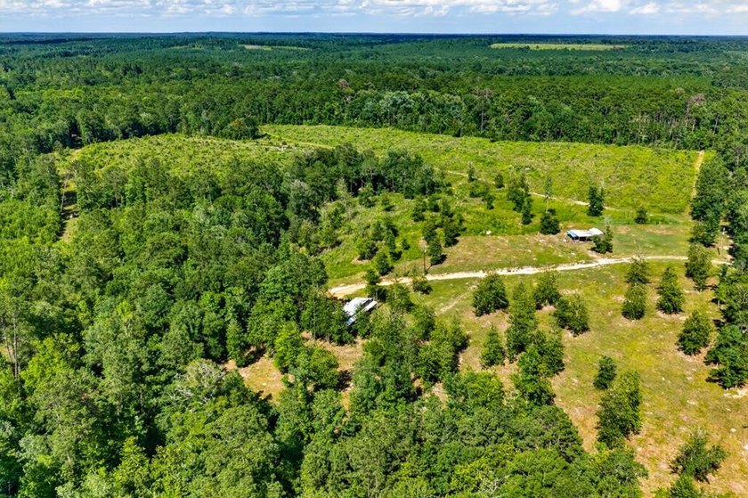 Escape to your own private East Texas retreat on 45.62 acres! - photo 41