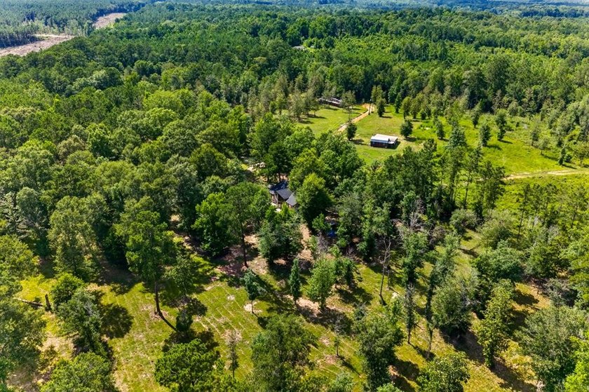 Escape to your own private East Texas retreat on 45.62 acres! - photo 42