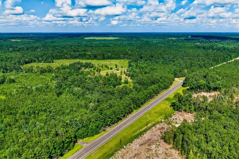 Escape to your own private East Texas retreat on 45.62 acres! - photo 43