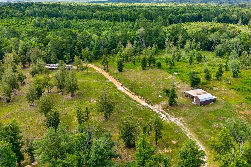 Escape to your own private East Texas retreat on 45.62 acres! - photo 44