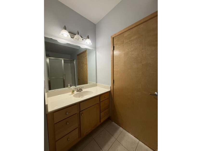 Experience effortless condo living in the heart of Prospect Park - photo 13