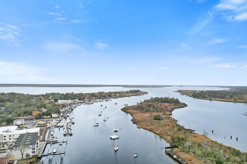 1050 Francis Parker Road is our latest listing in beautiful - photo 48