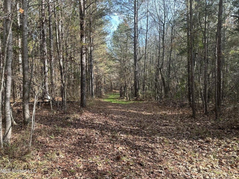 This offering includes four separate 38+/- acre tracts in - photo 8