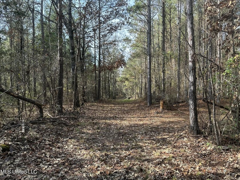 This offering includes four separate 38+/- acre tracts in - photo 9
