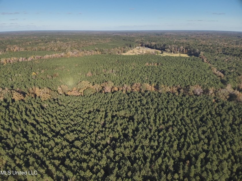This offering includes four separate 38+/- acre tracts in - photo 5