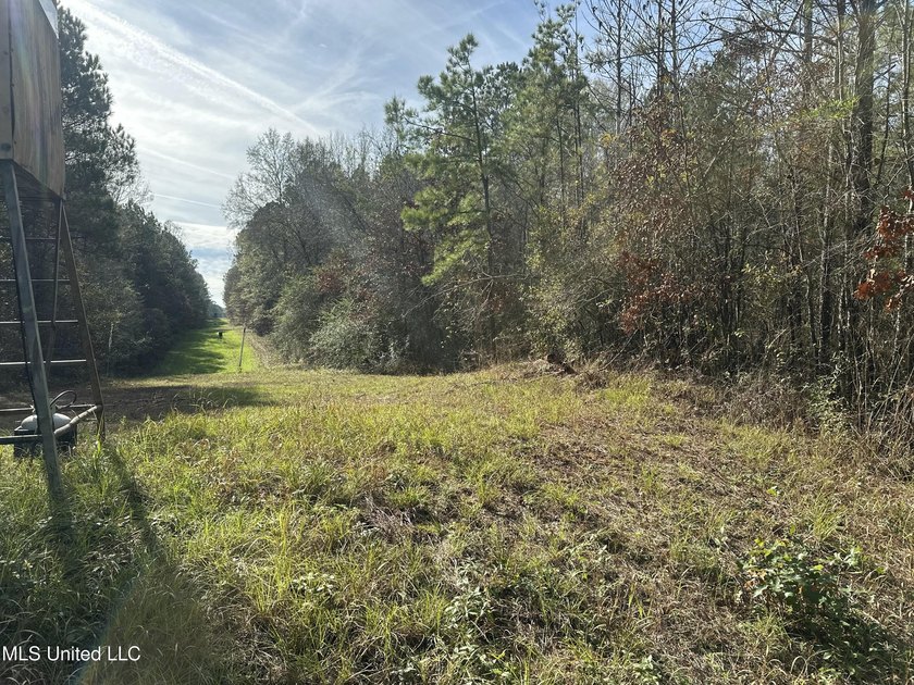 This offering includes four separate 38+/- acre tracts in - photo 10