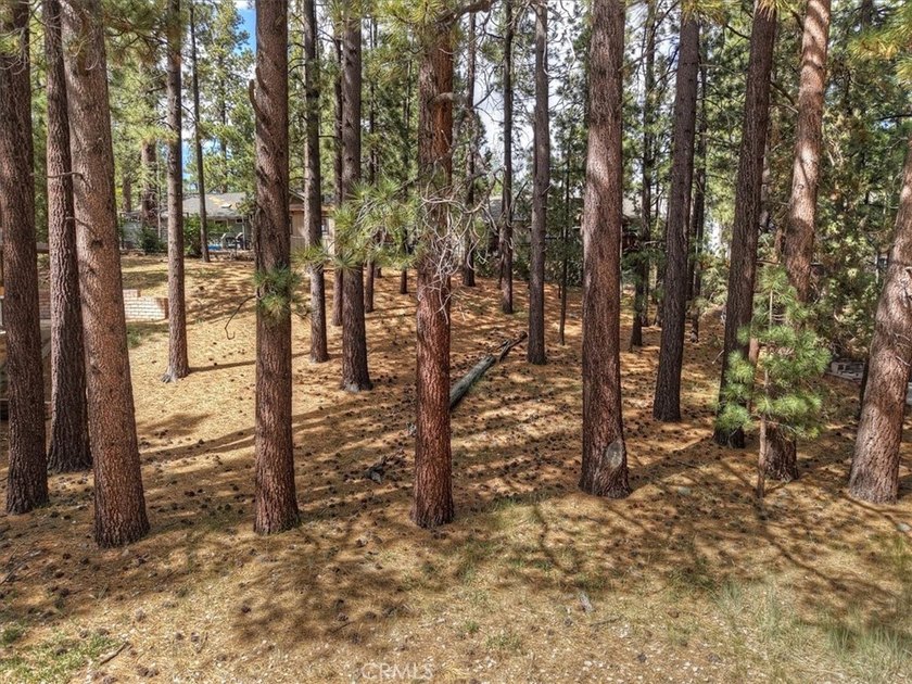 For more information on this home please visit or call to set up - photo 9