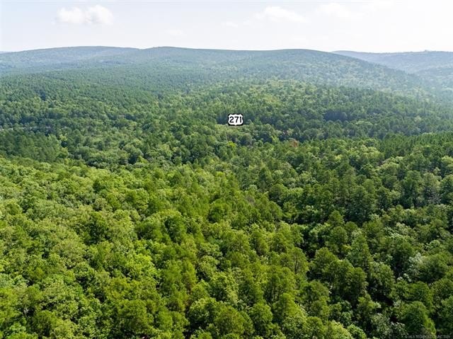 30 mol Acres With Highway 271 Frontage | Scenic Creek | - photo 12