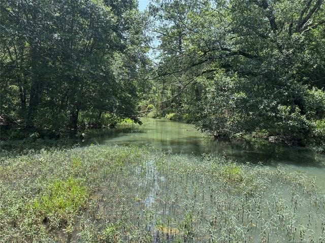 30 mol Acres With Highway 271 Frontage | Scenic Creek | - photo 22