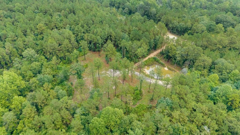 Beautiful tract of land with over 30 acres that joins the city - photo 13