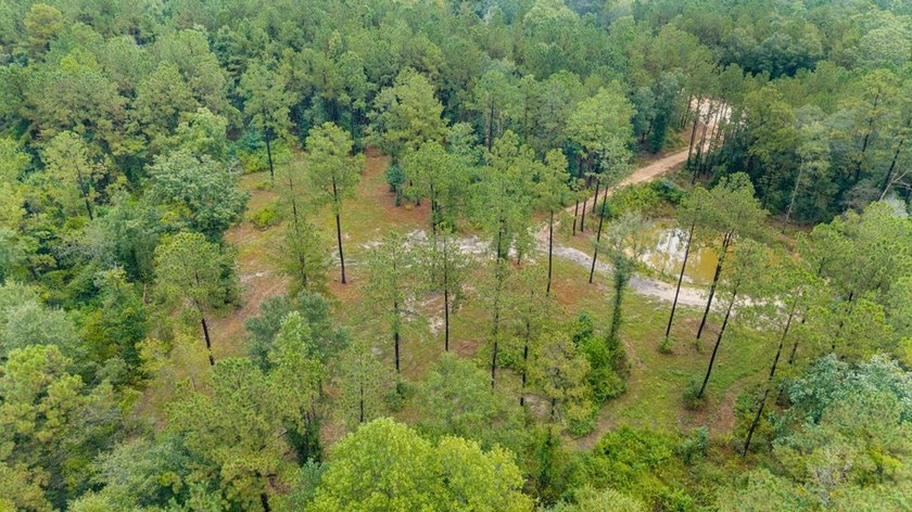 Beautiful tract of land with over 30 acres that joins the city - photo 14