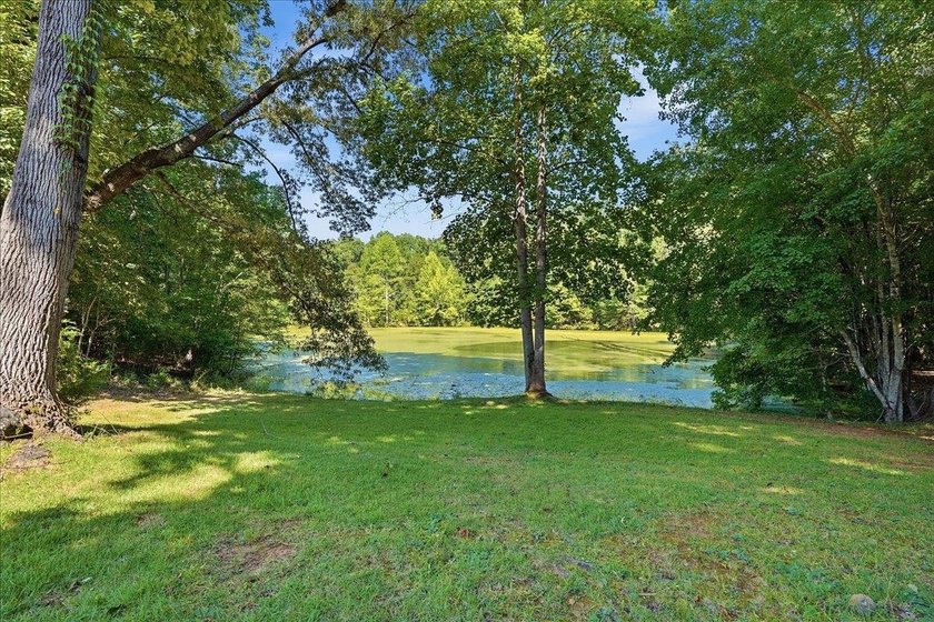 Unlock the Potential: 10.75+/- Unrestricted Acres in Woodruff - photo 2