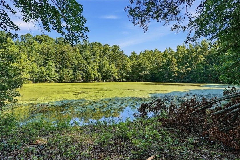Unlock the Potential: 10.75+/- Unrestricted Acres in Woodruff - photo 3