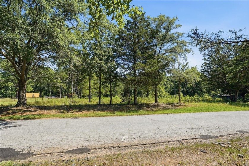 Unlock the Potential: 10.75+/- Unrestricted Acres in Woodruff - photo 4