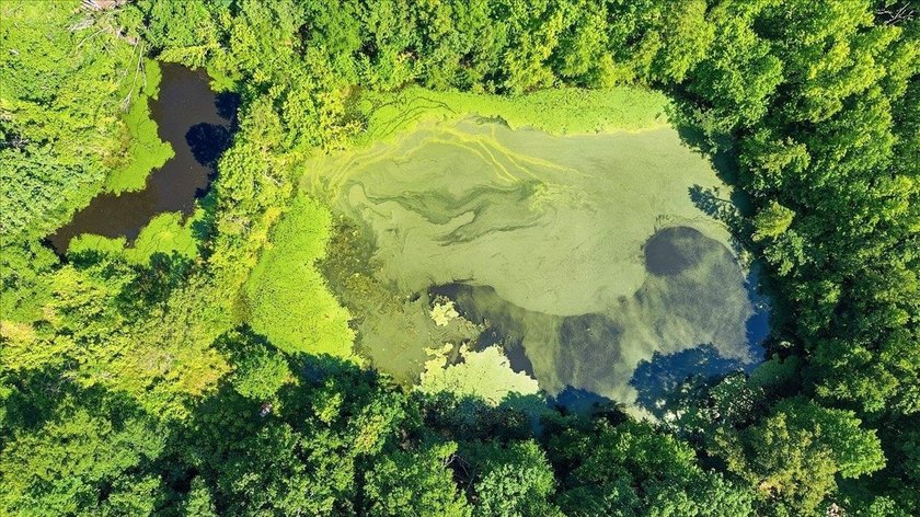 Unlock the Potential: 10.75+/- Unrestricted Acres in Woodruff - photo 5