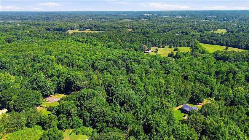 Unlock the Potential: 10.75+/- Unrestricted Acres in Woodruff - photo 8