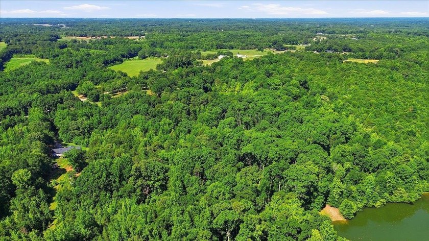 Unlock the Potential: 10.75+/- Unrestricted Acres in Woodruff - photo 9