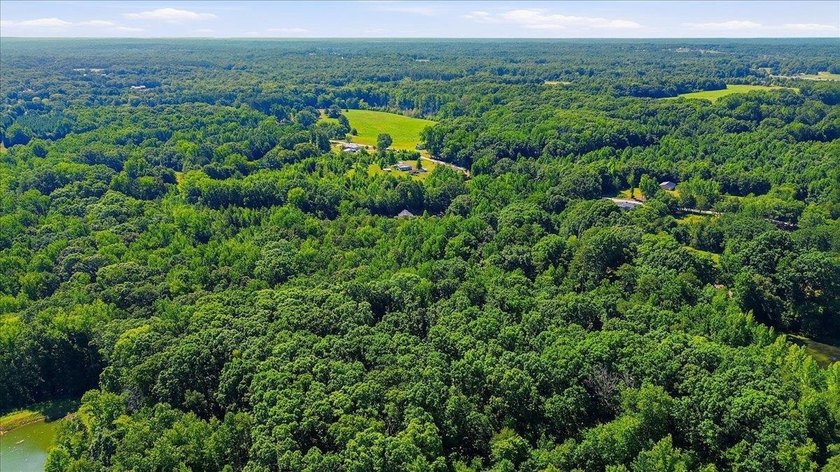 Unlock the Potential: 10.75+/- Unrestricted Acres in Woodruff - photo 10
