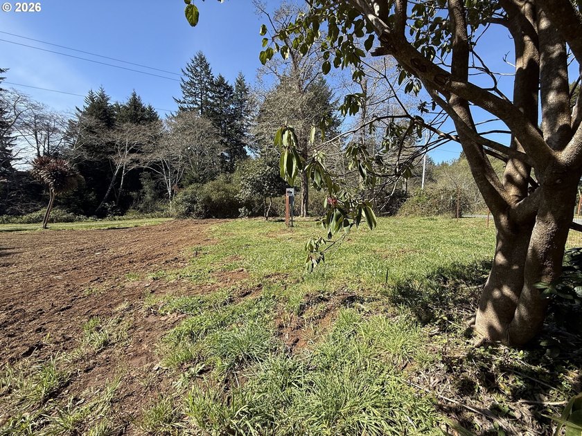 LEVEL HALF-ACRE NEAR HARRIS BEACH - BUILD-READY WITH ROOM TO - photo 12