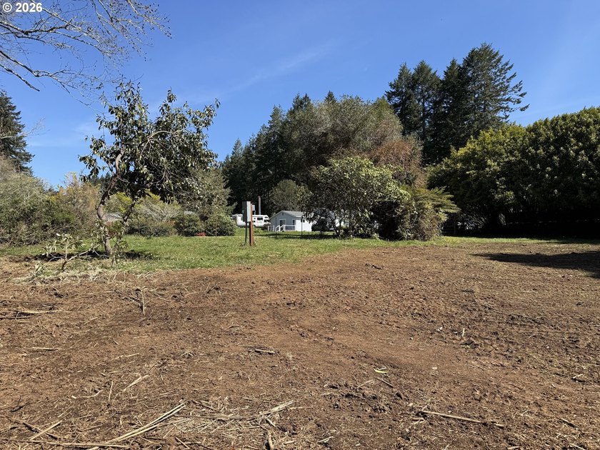 LEVEL HALF-ACRE NEAR HARRIS BEACH - BUILD-READY WITH ROOM TO - photo 18