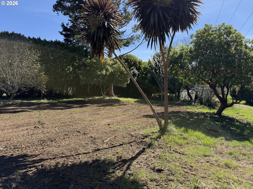 LEVEL HALF-ACRE NEAR HARRIS BEACH - BUILD-READY WITH ROOM TO - photo 20