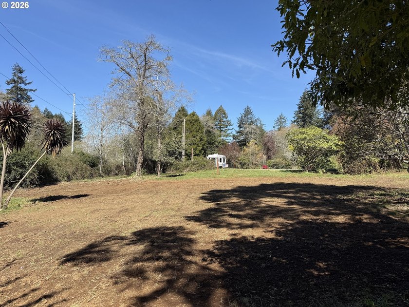 LEVEL HALF-ACRE NEAR HARRIS BEACH - BUILD-READY WITH ROOM TO - photo 25